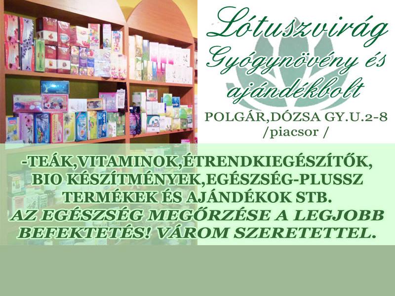 lótuszvirág copy.jpg